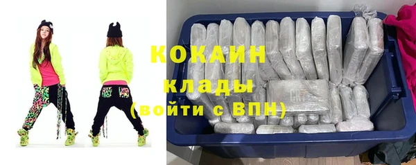ешки Алексин