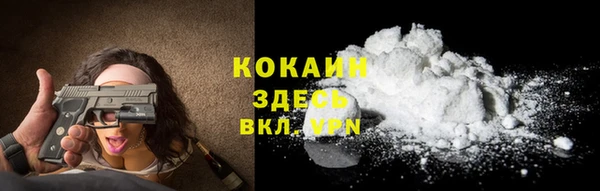 ешки Алексин