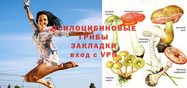 apvp Алексеевка