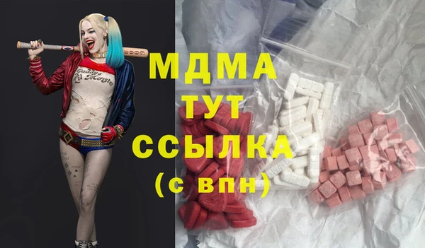 ешки Алексин