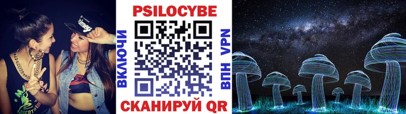 купить наркотики сайты  MEGA ссылка  Псилоцибиновые грибы прущие грибы  Кинель 